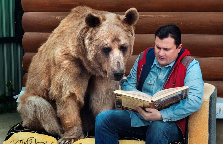 组图俄罗斯夫妇收养一个熊儿子
