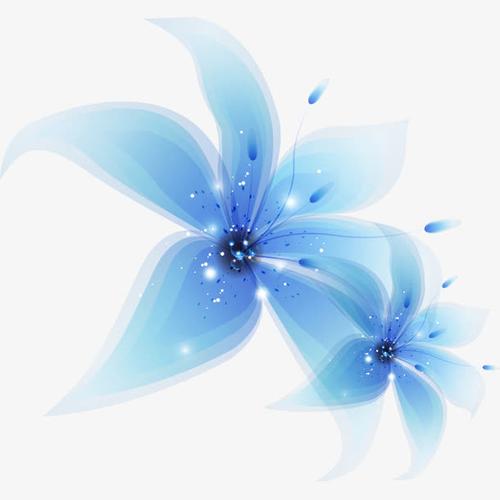 淡蓝色的花朵