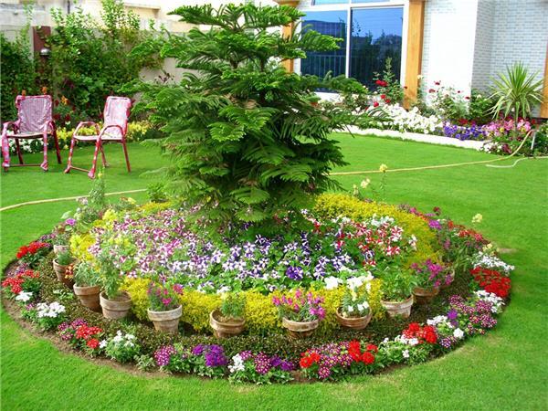 花坛花坛设计花花卉园林园林景观设计花园