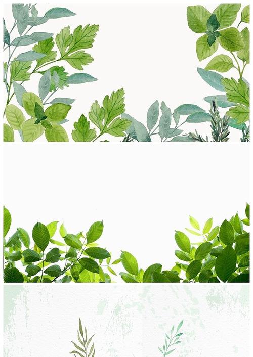 清新绿色叶子植物ppt背景图片
