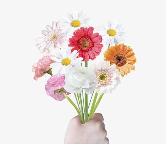 鲜花韩式拿着鲜花的手