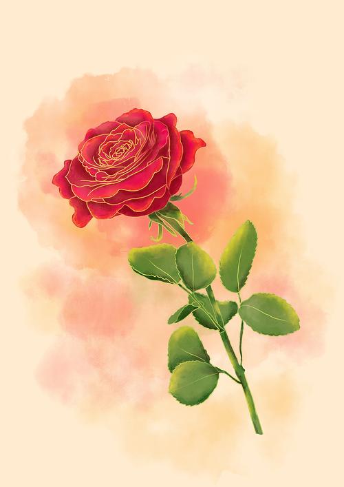 板绘水彩玫瑰花|插画|创作习作|彩色花树