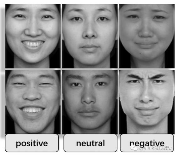 近年来已有报道研究精神分裂症患者情绪面部表情下视觉扫描