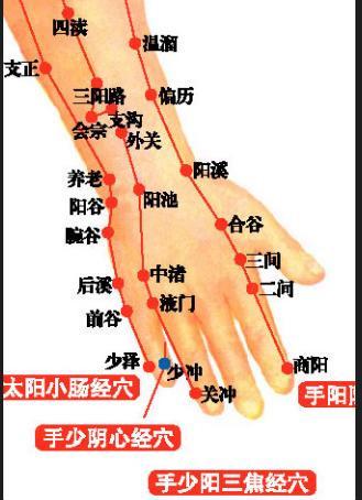 中医认为手部经络穴位丰富既有手三阳经手三阴经及其穴位循环与分布