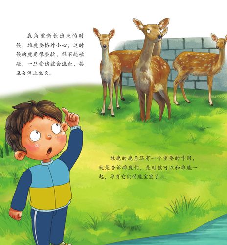 儿童绘本故事推荐《动物园里怪事多上》