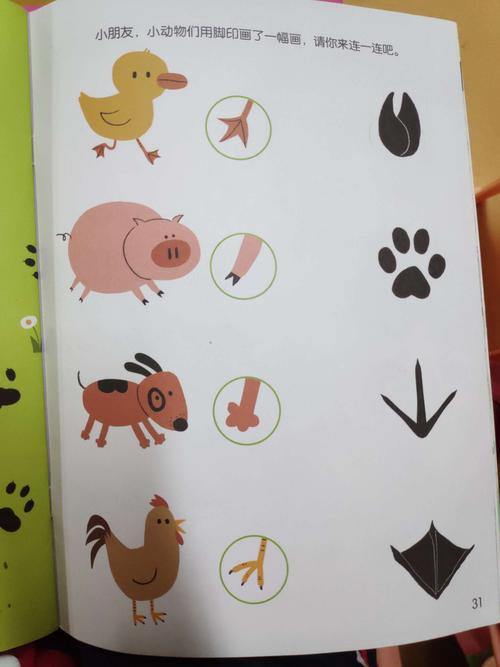 2.能根据脚印的特征与相应的动物匹配体验帮小动物找脚印的快乐.