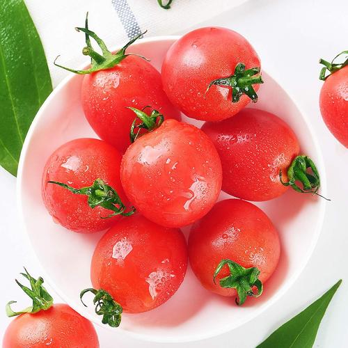 福瑞达千禧小番茄圣女果5斤新鲜水果应季柿子樱桃番茄