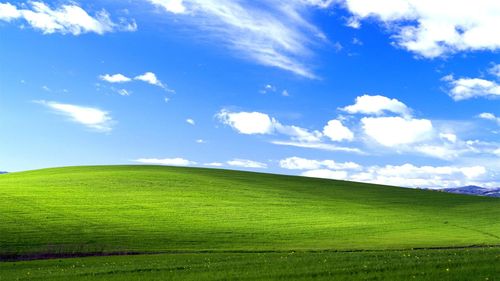 绿色草原风景高清电脑桌面壁纸