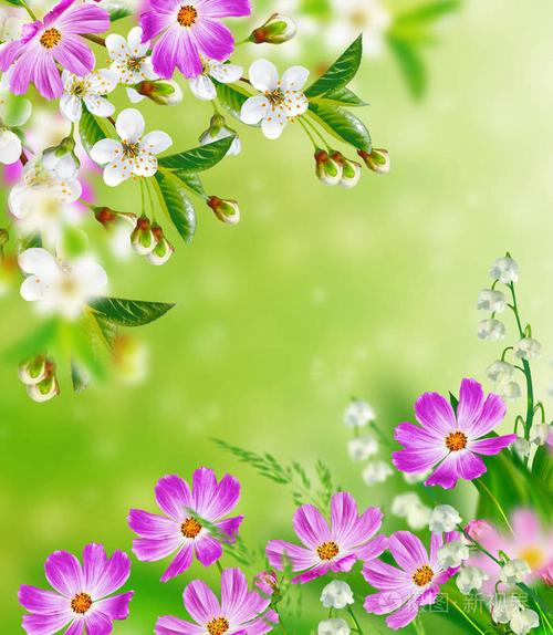 鲜艳多彩的春天的花朵.花卉背景