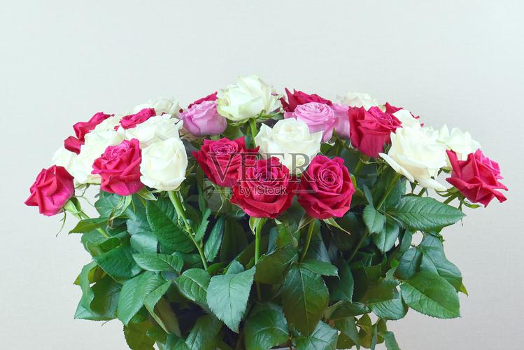 爱美自然设计摄影水平画幅特写俄罗斯叶子花花束花簇花瓣玫瑰礼物装饰