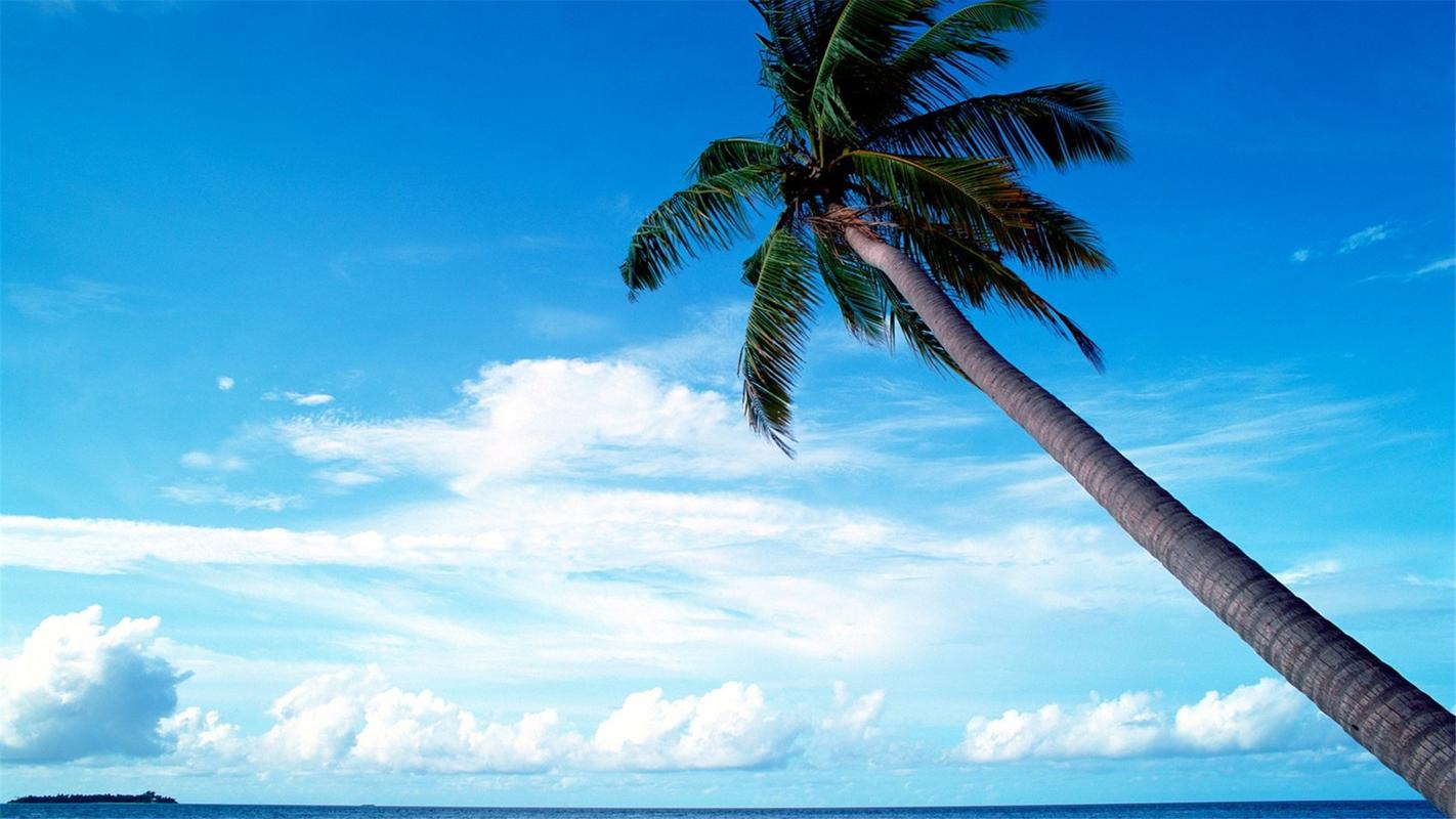 美丽的旅游胜地马尔代夫沙滩蓝天风景图片桌面壁纸2