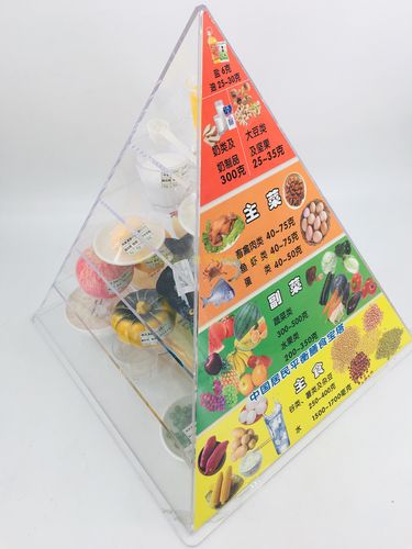新版膳食宝塔中国居民膳食平衡金字塔模型营养食物交换份模型