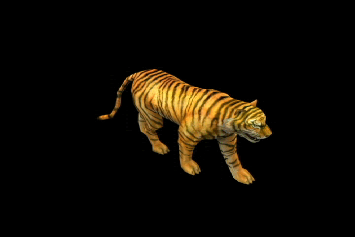 3d老虎带动作和预览图tomhegon作品动物哺乳cg模型网