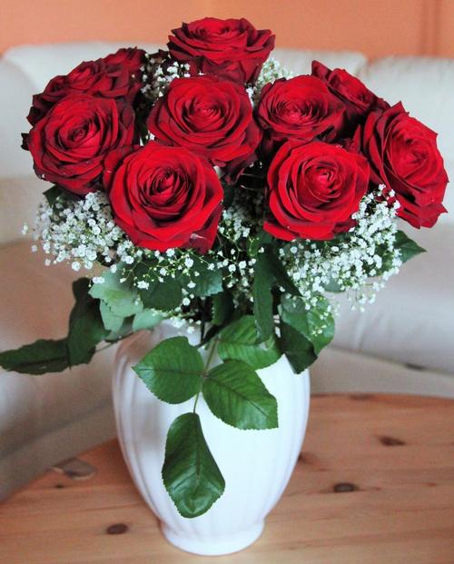 红色植物热烈奔放一大束红色玫瑰特写爱情鲜花背景图片