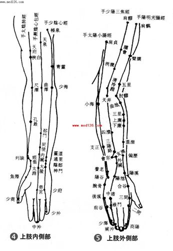 上肢穴位图人体经络图针灸穴位图中医经络针灸图针灸经络