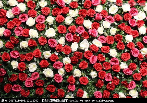 玫瑰花墙背景实拍摄影素材摄影汇图网