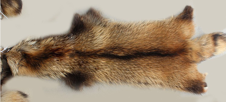 动物皮毛皮革的分类种类和鉴别品质的方法