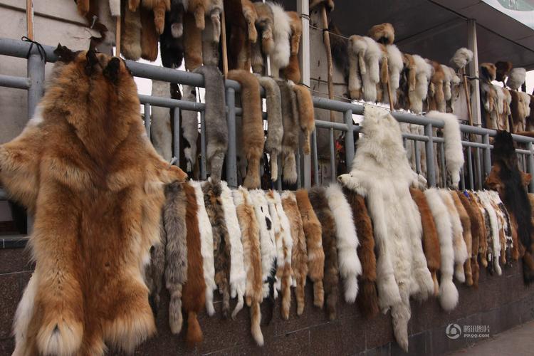 陕西临潼街头叫卖动物毛皮狼皮4000一张组图26