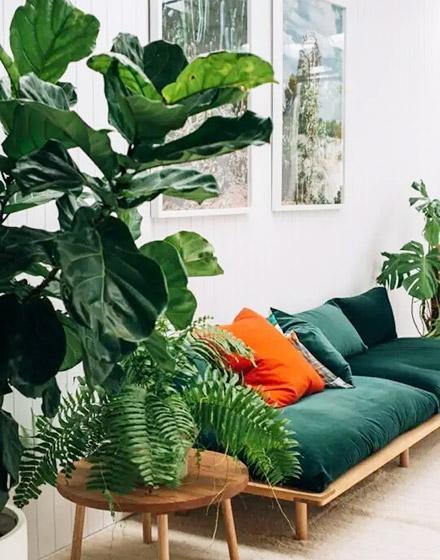 室内植物小清新舒适绿色客厅植物摆放效果图