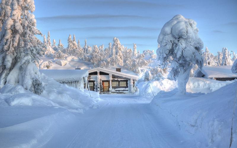 冬季棚屋树木雪景观100375