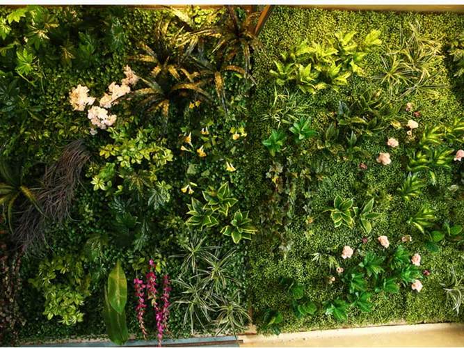 人造仿真植物墙靠谱的绿植墙供应商推荐