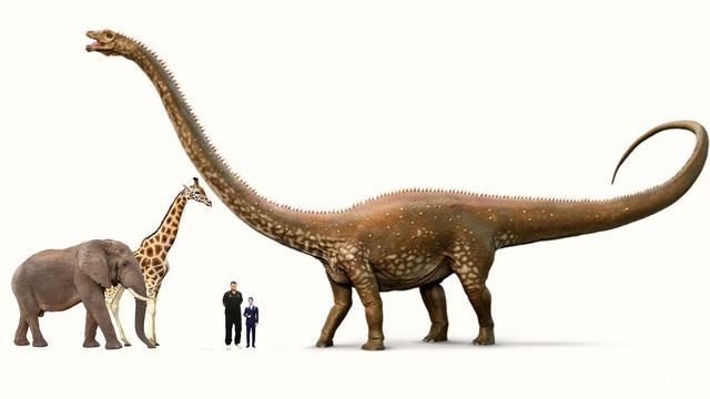 将人类和现代动物跟远古食草恐龙放在一起对比是怎样的画面
