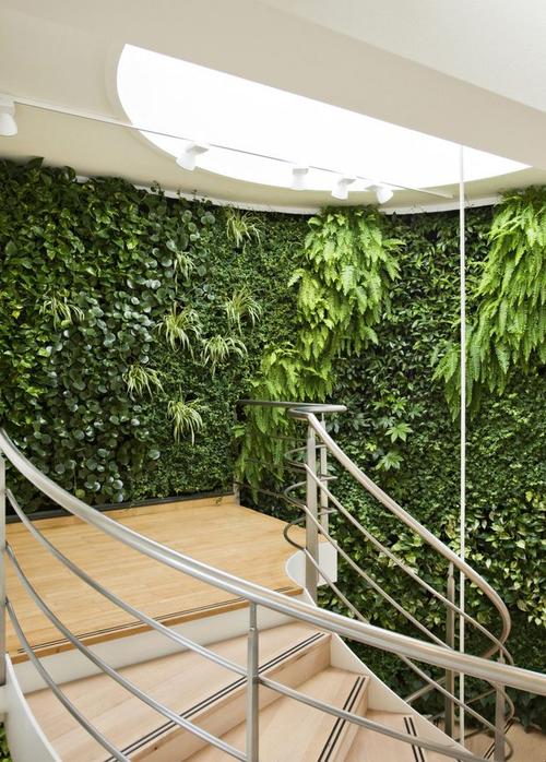 植物墙效果图室内植物墙图片分享植物墙研究中心