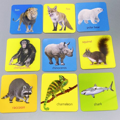 颜系图书学前儿童宝宝早教卡撕不烂动物水果蔬菜双语认知卡片