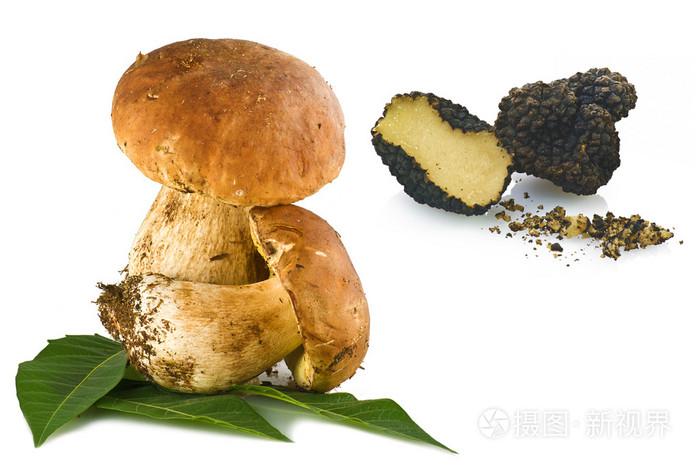 蘑菇和松露