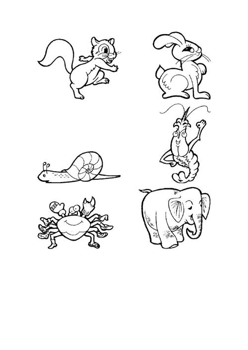 各种校动物的简化图