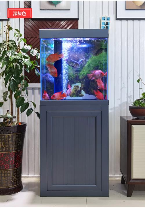 可开票超白鱼缸小型客厅免换水创意生态水族箱家用懒人定制底滤带