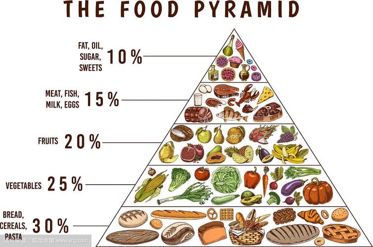 美国和香港的食物金字塔里使用的食物图片充分反映了西方和东方饮食