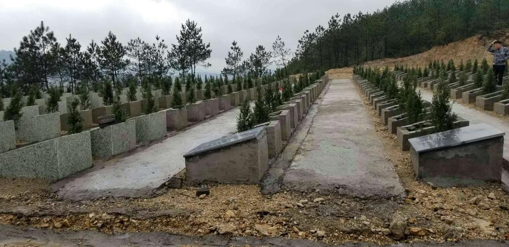 毛村镇各村居公益性墓地建设完成绿化.