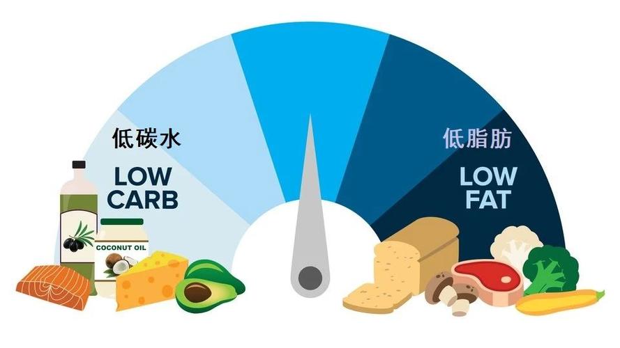 低脂饮食与低碳水饮食是最常见的减肥食谱有些人荤腥不沾有些人