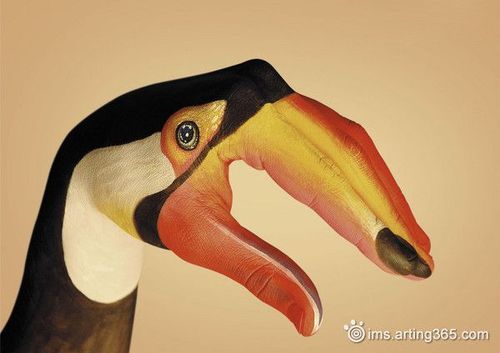 创意动物手姿彩绘犀鸟