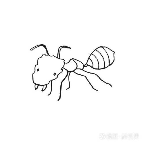 白色背景的蚂蚁涂鸦素描