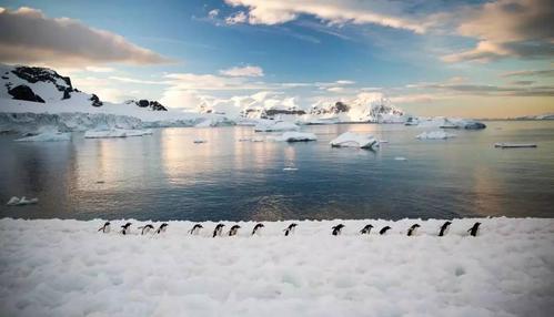 在这颗冰冻星球上听见南极的声音