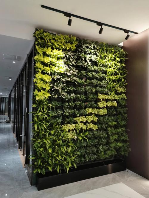 办公室绿植墙隔断无需水源也能做的植物墙