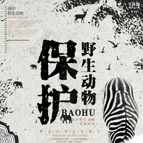 保护野生动物黑白手绘创意大气海报