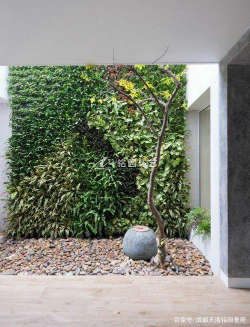 10个私家庭院植物墙案例分享图文