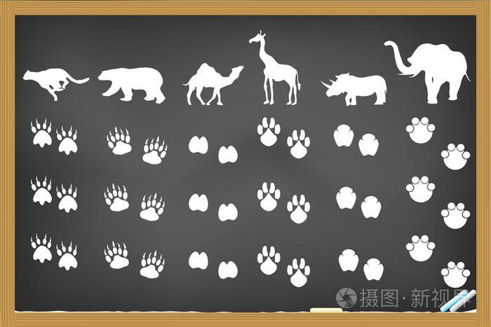 动物的脚印在黑板上