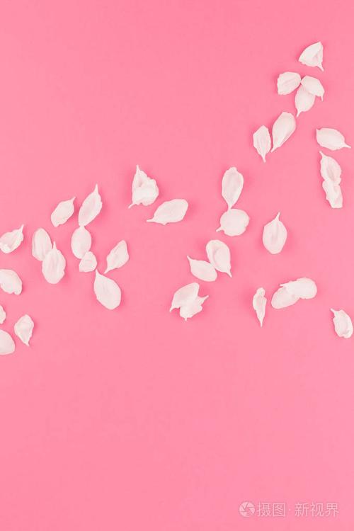 创意平躺概念上的飞翔苹果树花花瓣在柔和的粉红色背景与复制空间最小