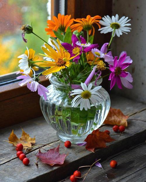 形形色色的花形形色色的花瓶