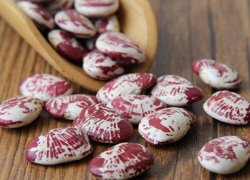 斑马豆果实类型斑马豆不属于果实而是种子它的果实