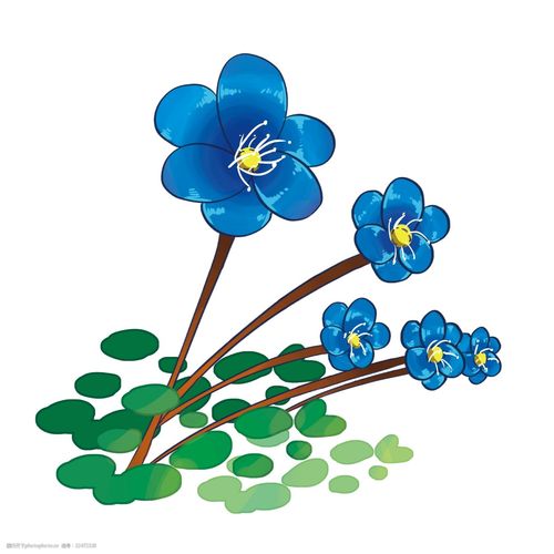 手绘蓝色花卉花朵插画