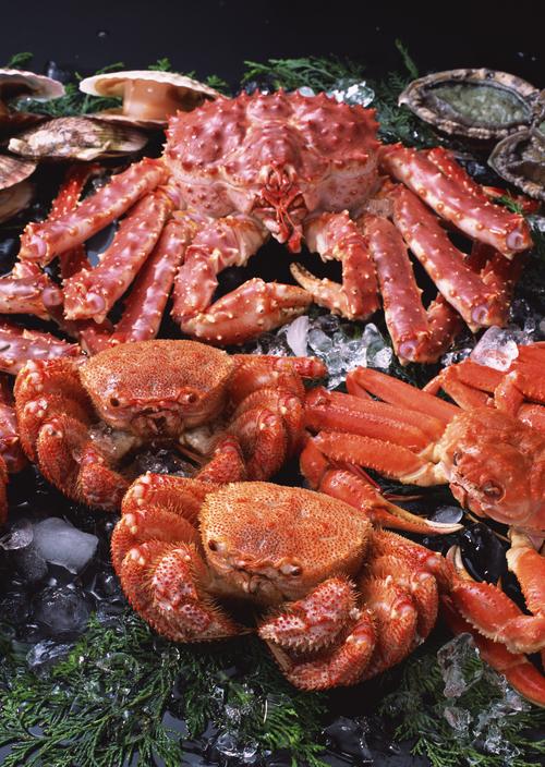 海鲜螃蟹毛蟹蟹美食世界鲜味十足的毛蟹图片