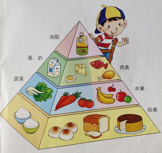 小朋友们通过《食物金字塔》感知食物的主要类别和食物的丰富.