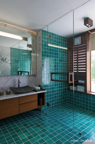 分离别墅最新时尚主卫生间淋浴房洗手盆镜子蓝色地砖窗户装修效果图片