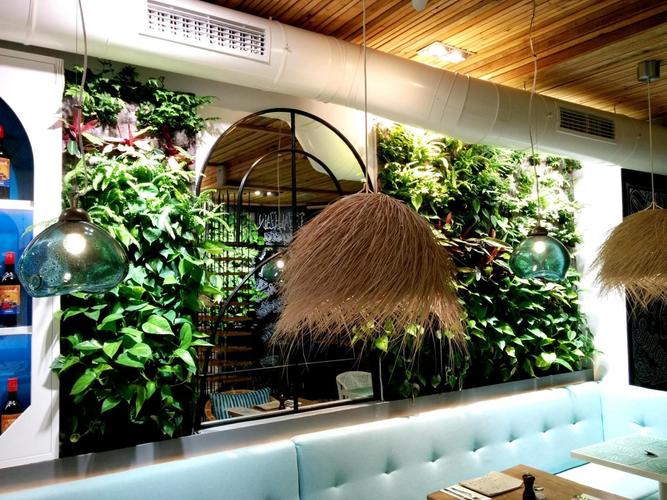 餐厅绿化案例restaurante