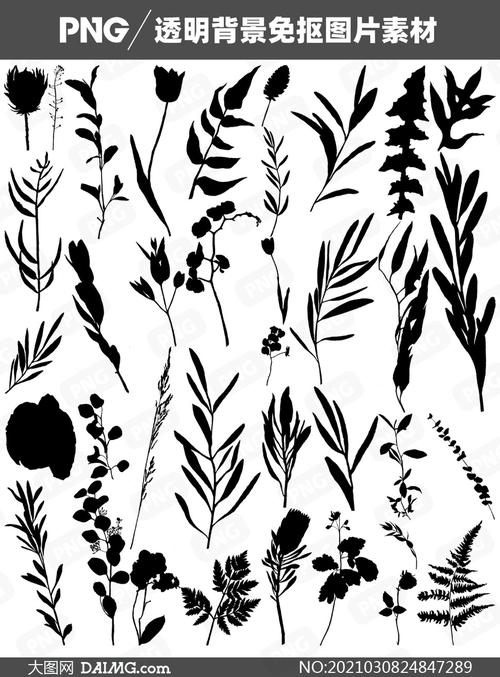 黑白剪影效果花草植物免抠图片素材